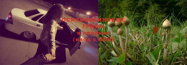 MESCALINE Надым