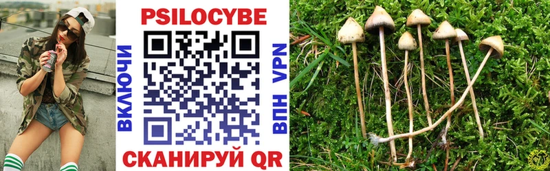 Псилоцибиновые грибы прущие грибы  Купить где  Очёр 